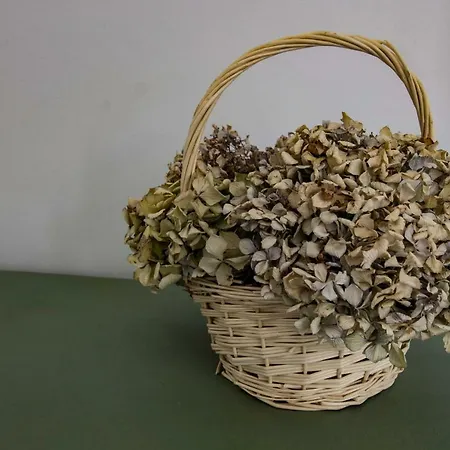 Casa De Gaia Apartmán