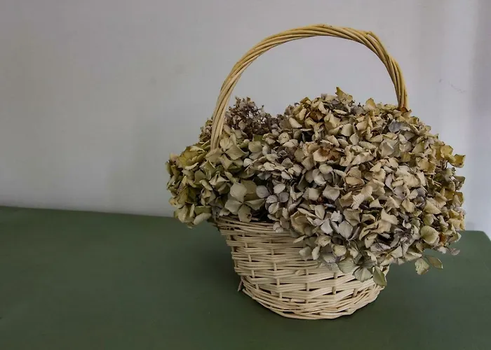 Casa De Gaia Appartamento