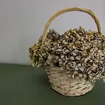 Casa De Gaia شقة